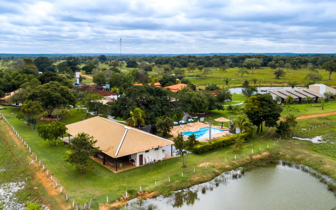 Safáris e cavalgadas revelam o Pantanal nos feriados